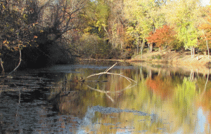 pond-fall-2010-two