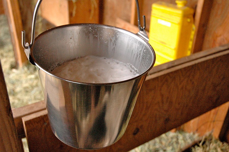 milk pail