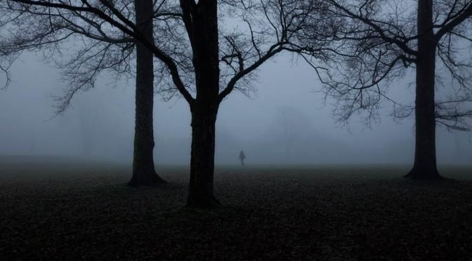 Person walking through trees and fog