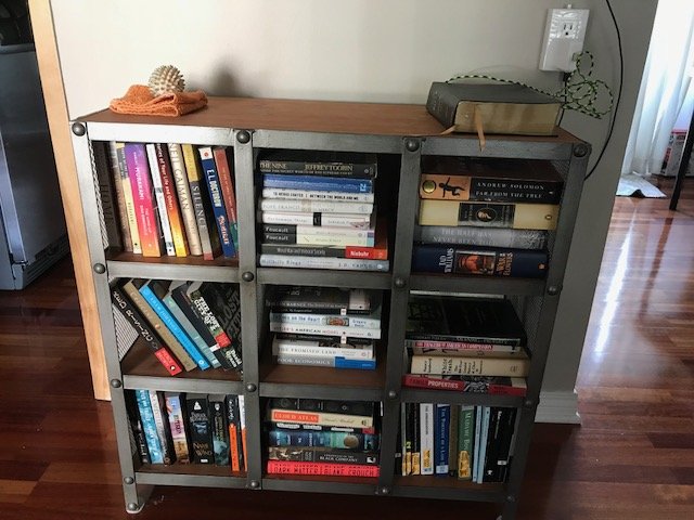 bookcase filled with books