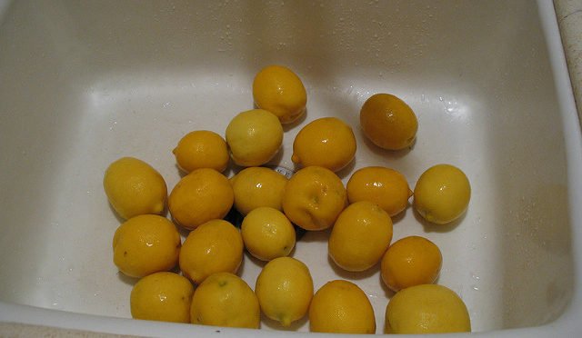 Lemons in white sink