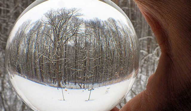 Winter trees through a glass ball