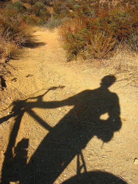 Shadow of person on bicycle