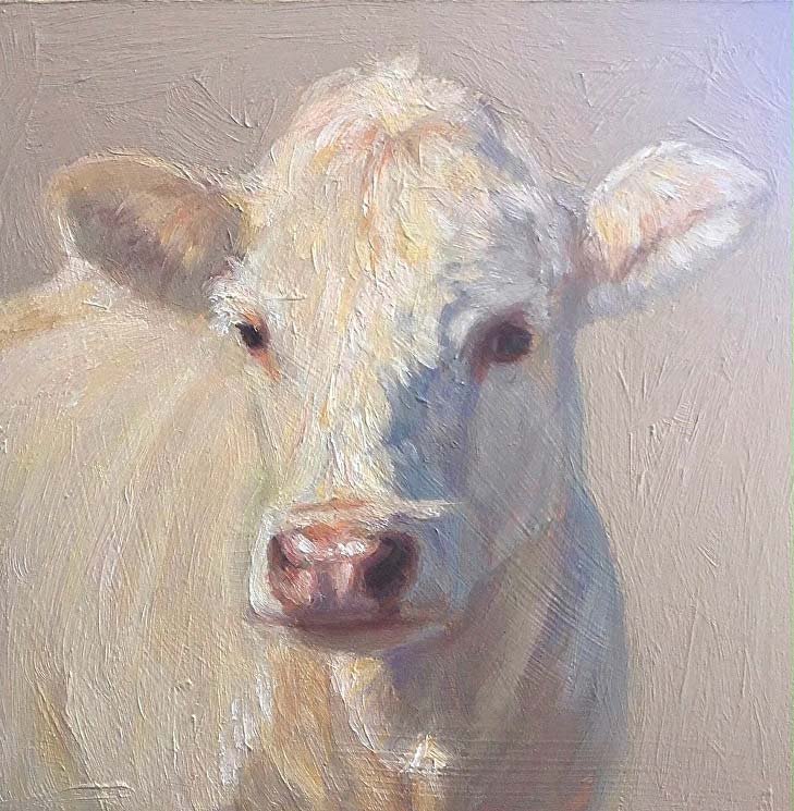 White cow, painted