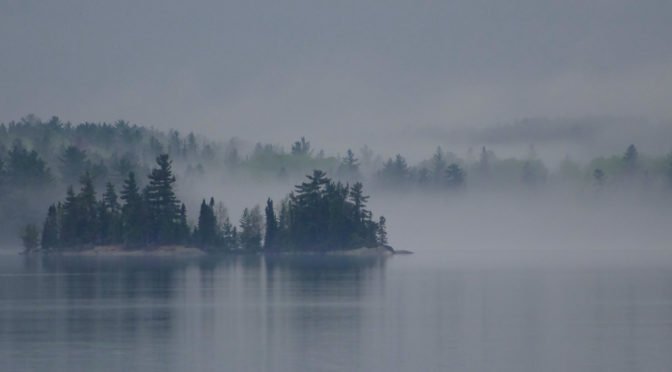 Fog over water and trees