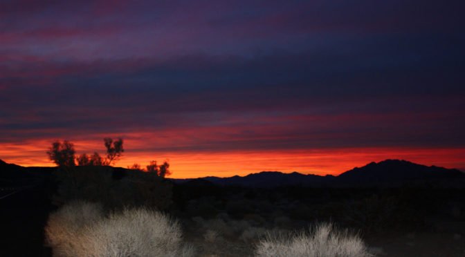 Sunset at Joshua Tree National Park