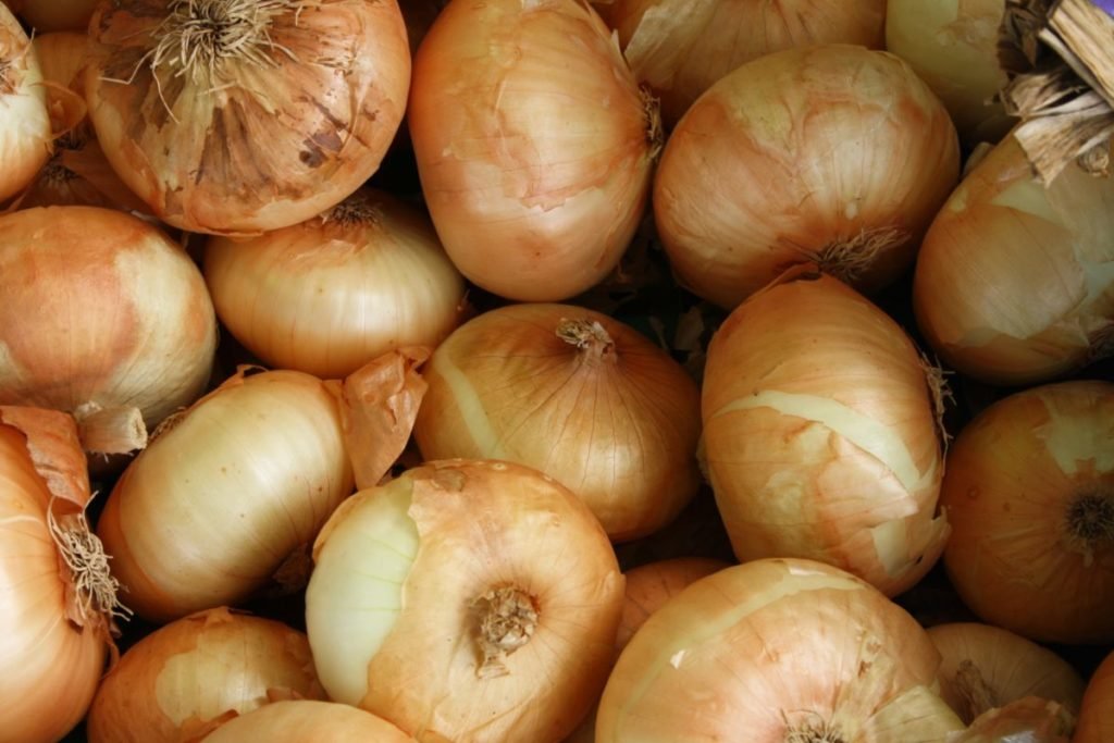Photo of Vidalia onions