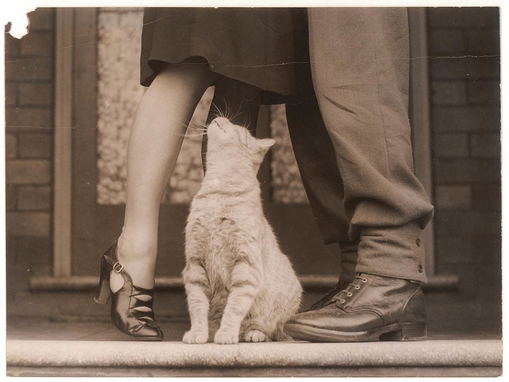 Man and Woman from the knees down, striped cat between them.
