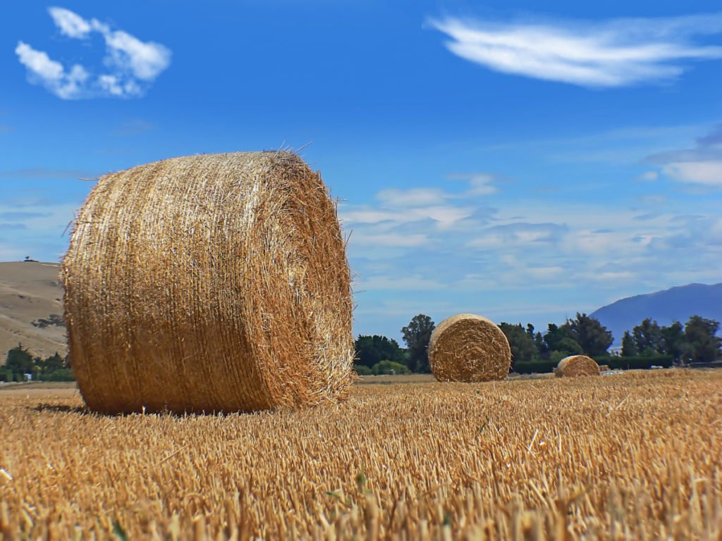 Photo of haybales against blue sky