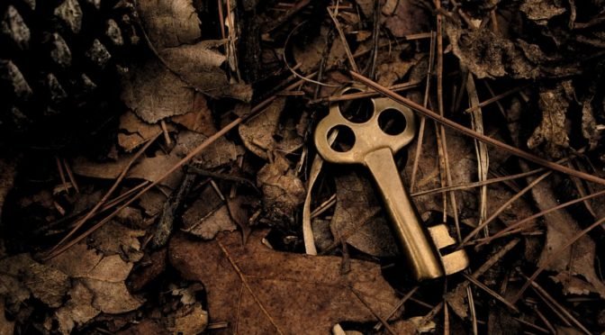 An old brass key dropped in the woods.
