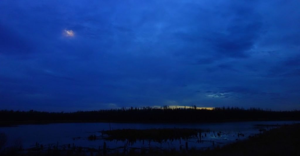 cloudy moonrise over deep blue swamp