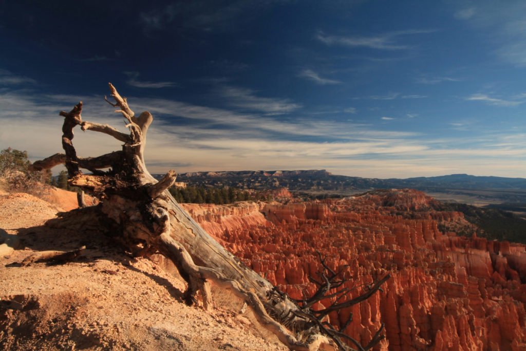 Photo of red canyon
