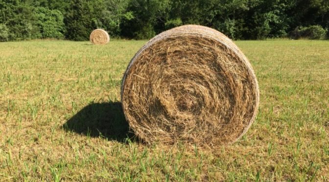 Photo of hay bales in field