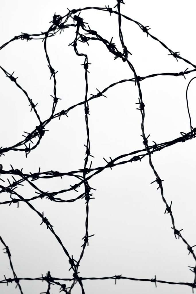 Photo of barbed wire