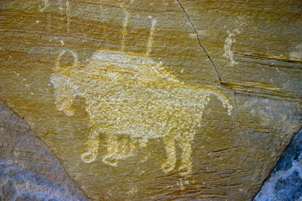 bison drawing on rock