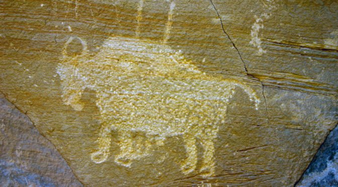 bison drawing on rock