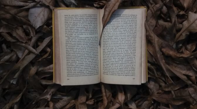 Photo of open book on leaves