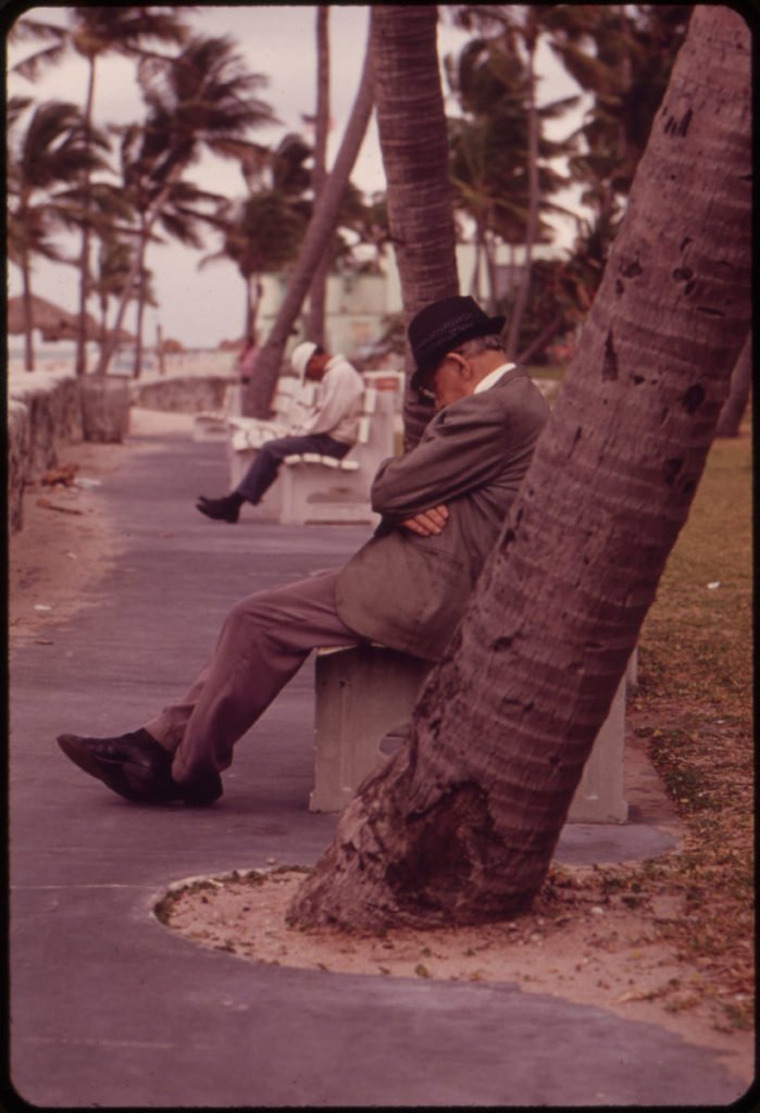 old man with hat tipped over face leaning against a tropical tree