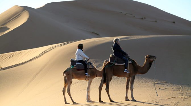 Photo of people riding camels in desert