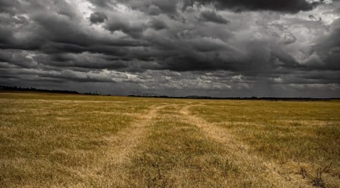 Photo of gray clouds over yellow field