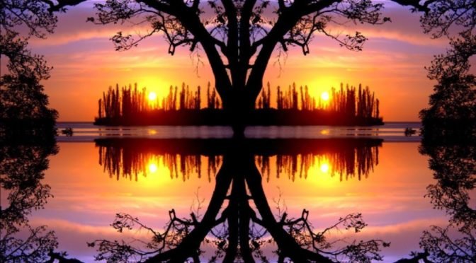 mirror image of a sunset and trees