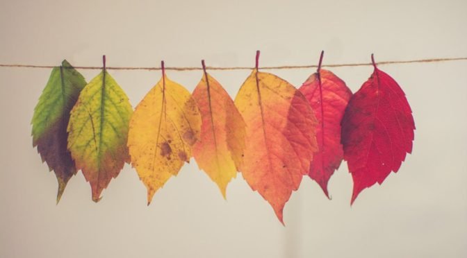 seven autumn leaves hung on a wire