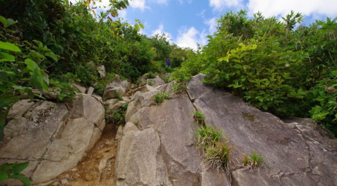 Large stone outcrop surrounded by trees