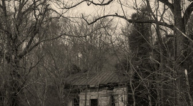 Black and white photo of rundown cottage in woods