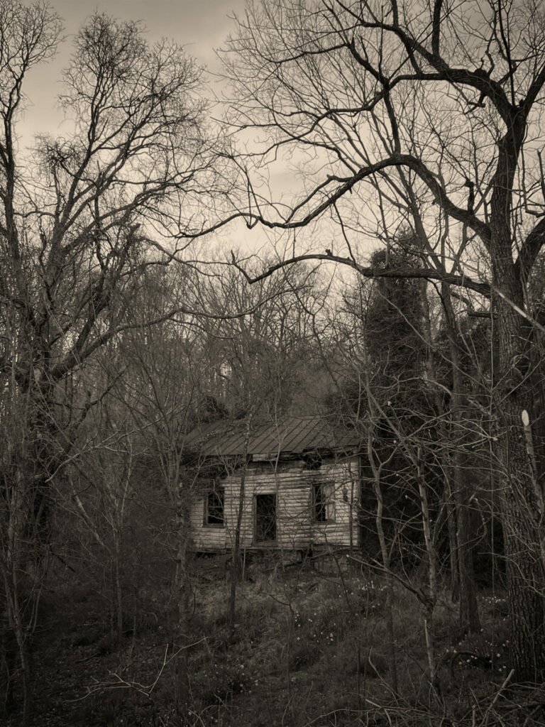 Black and white photo of rundown cottage in woods