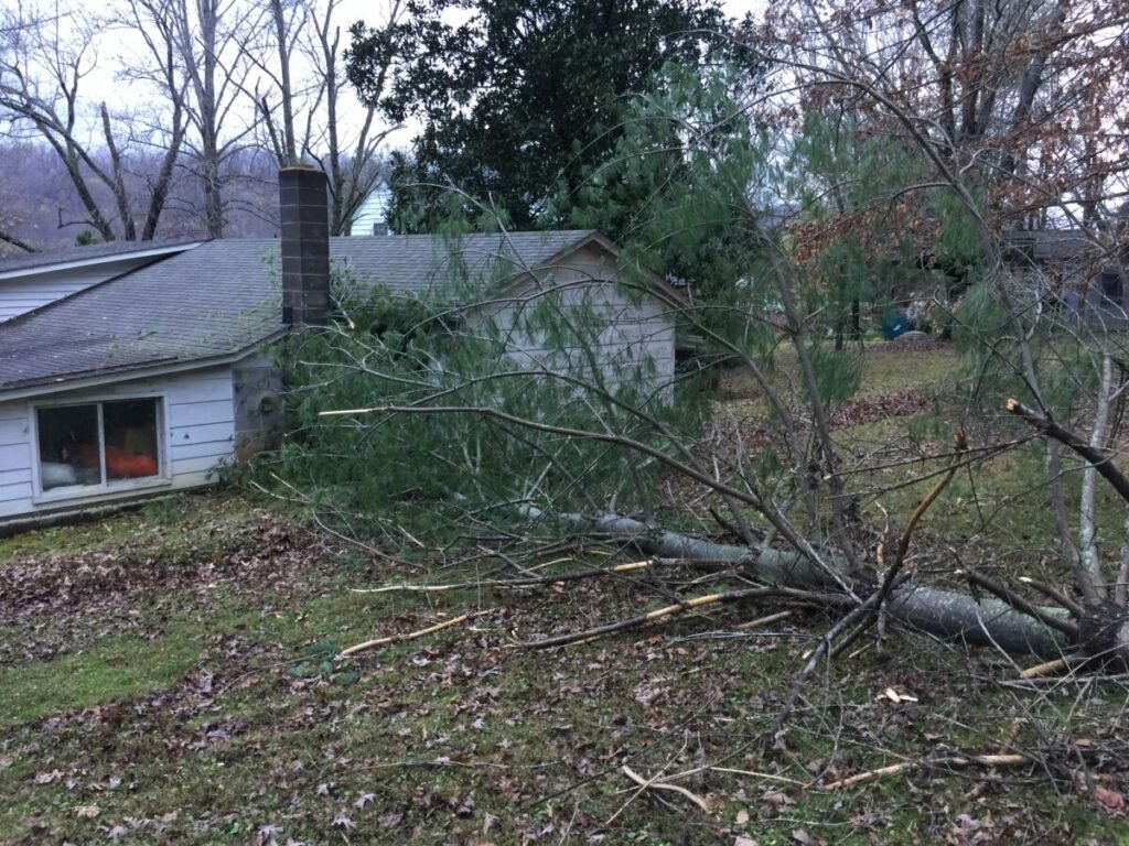 Photo of downed tree next to house