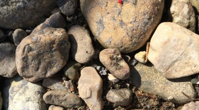 Photo of many sized rocks