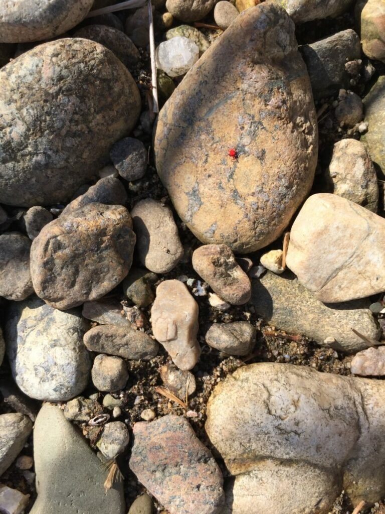 Photo of many sized rocks