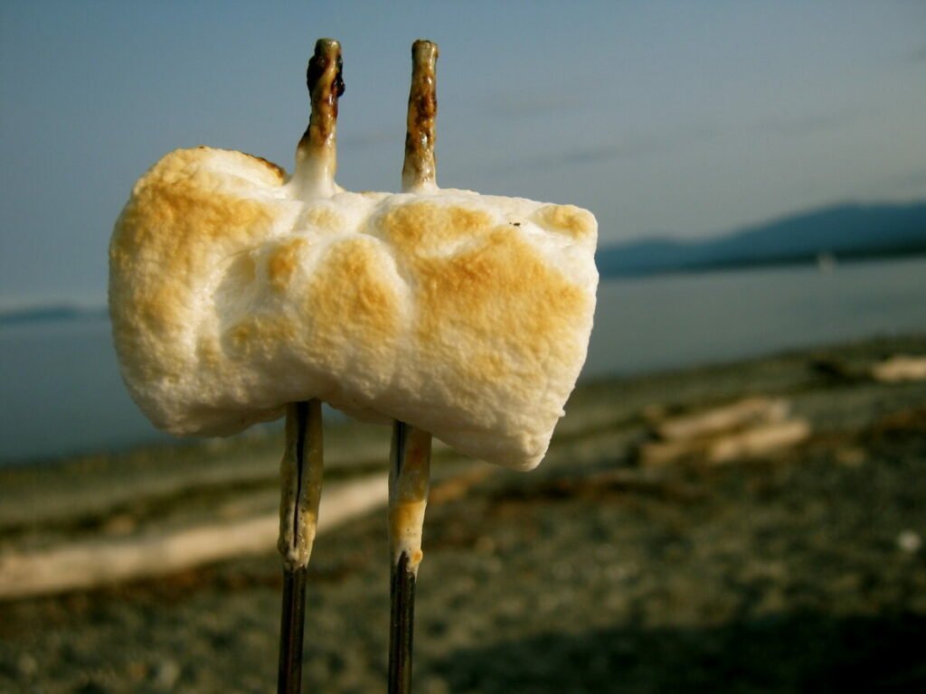 Photo of roasted marshmallows on sticks
