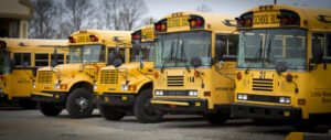 Photo of five school buses side by side