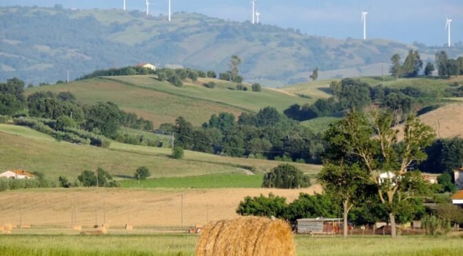 Hay bale and distant hills