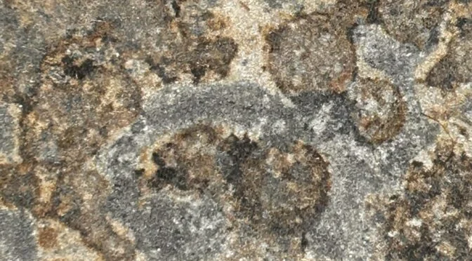 Photo of stains on cement