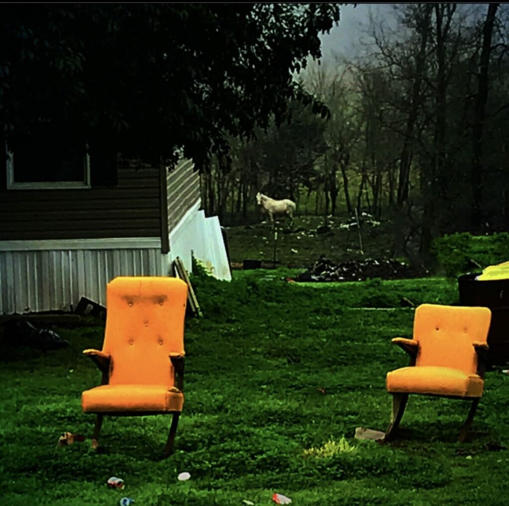Photo of a yard with two yellow house chairs in it, with a white horse on the far background