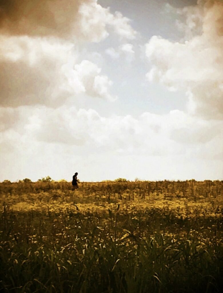 Photo of person in field under a cloudy sky