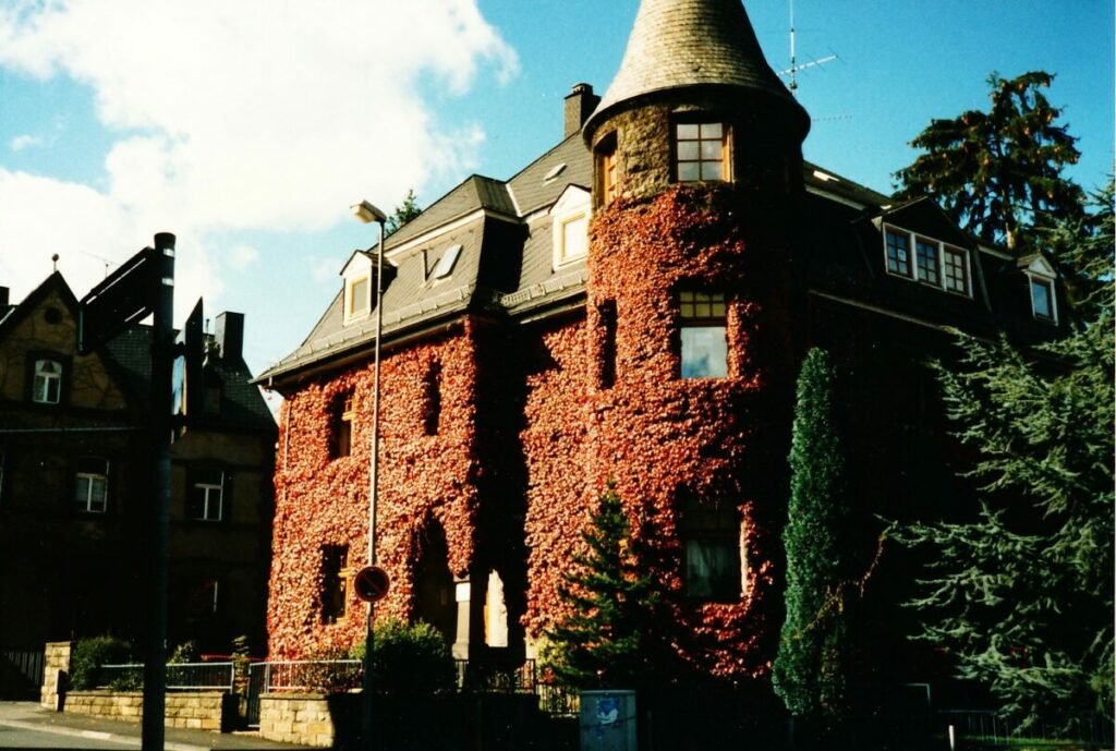 Photo of house covered in Ivy