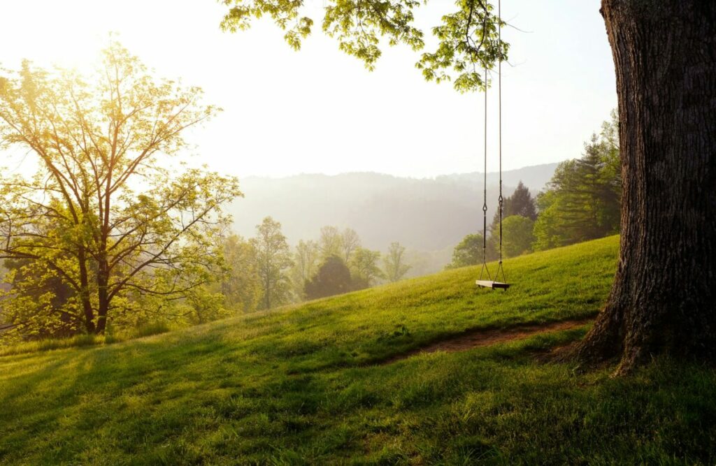 tree swing on green hilltop