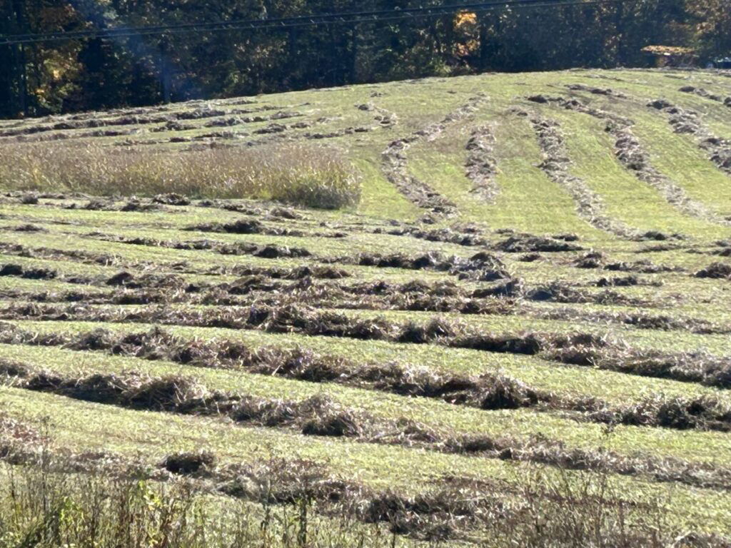 Photo of cleared hay field