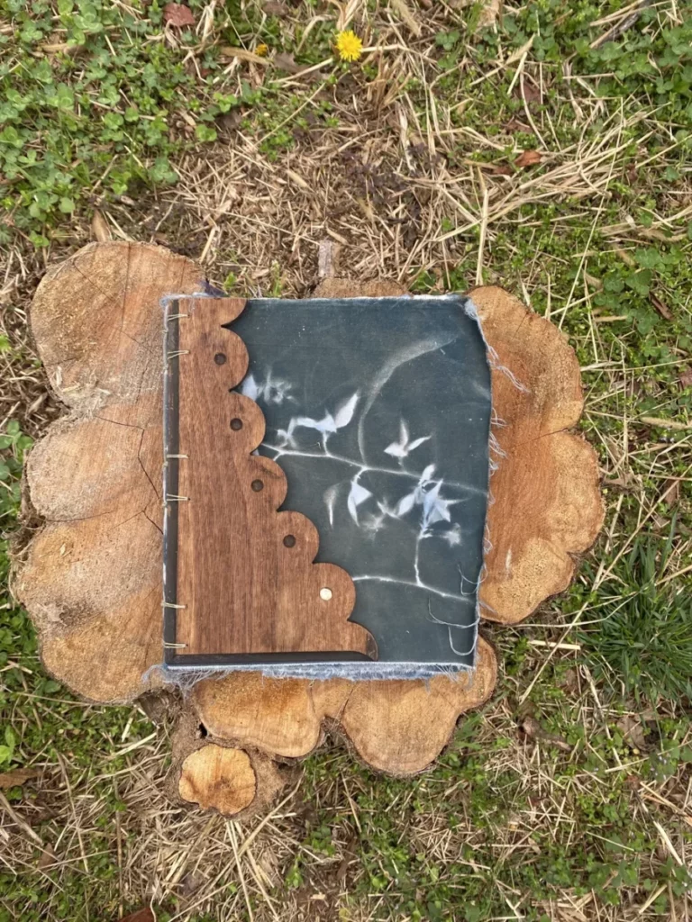 Large book atop a interestingly shaped stump