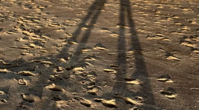 two long human shadows on beach