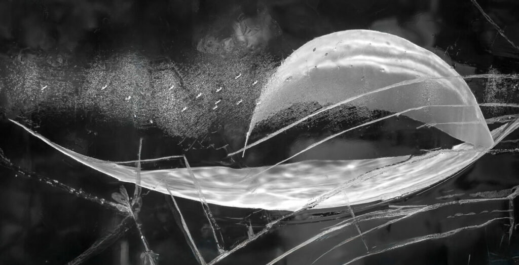 Abstract black and white photo