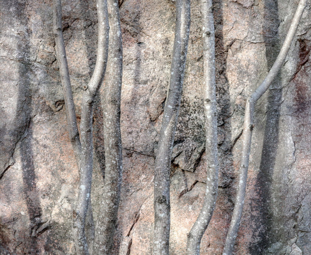 Abstract black and white photo