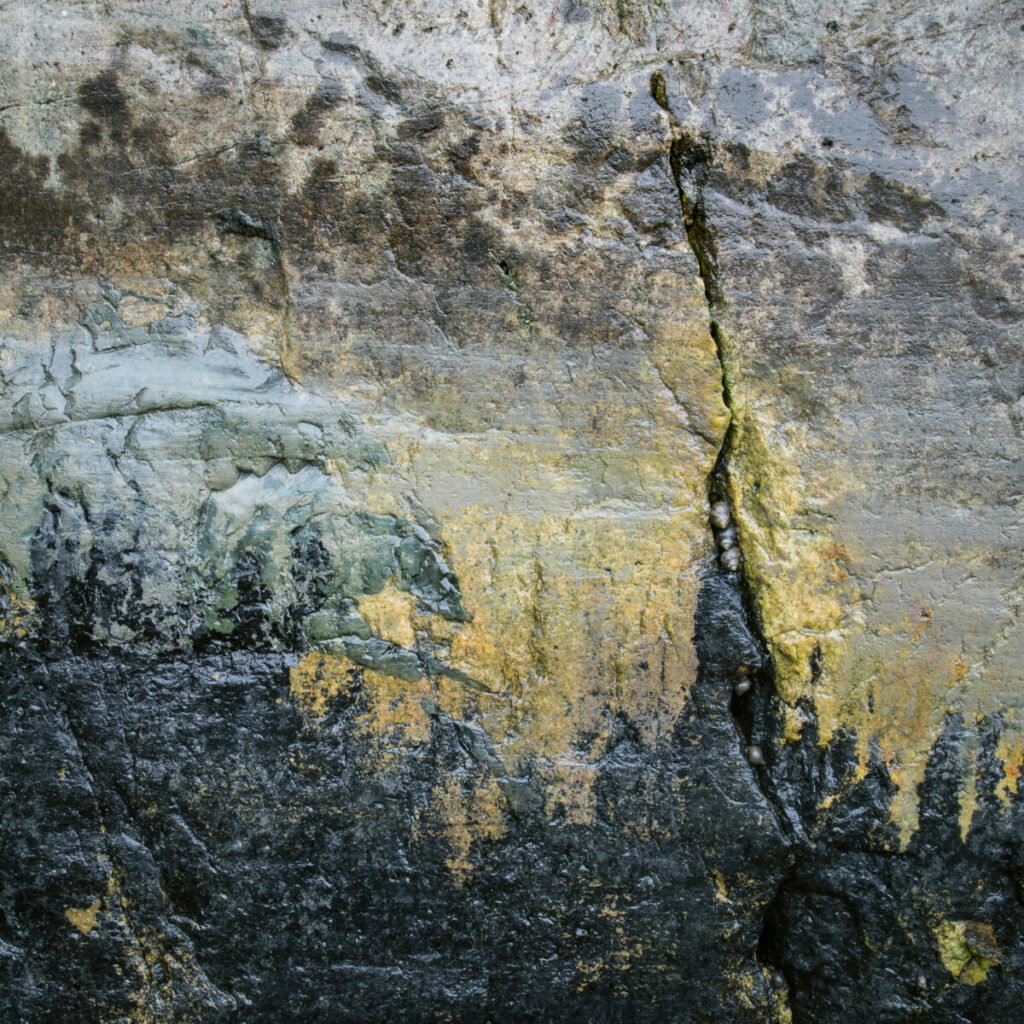 Abstract black and white photo