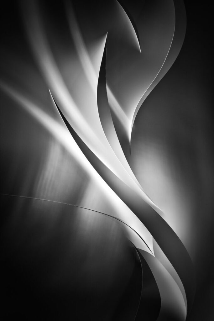 Abstract black and white photo