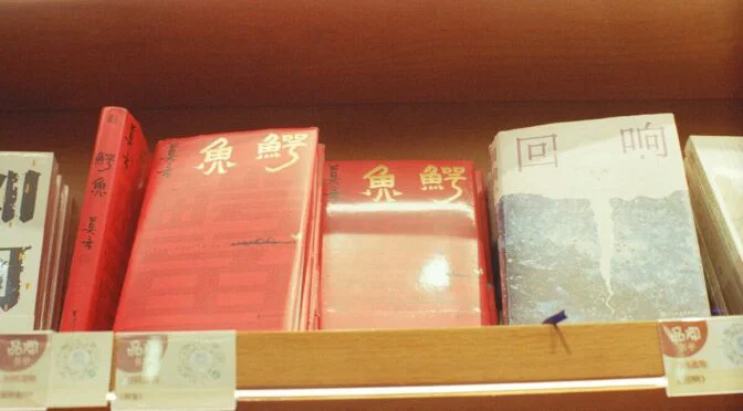 Photo of books with Asian writing on covers