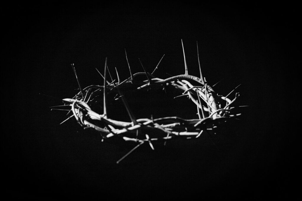 Photo of a crown of thorns