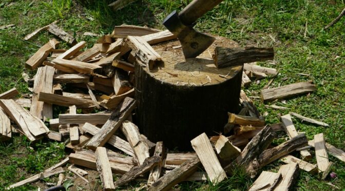 Photo of axe in stump amid pile of cut wood